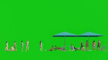 3d representación grupo de personas relajante para verano playa visualización, verde pantalla croma llave video