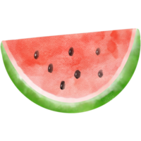 Watercolor watermelon.Hand drawn modern decorative fruit objects isolated on png background.