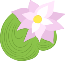 Water lily in children's style.Swamp water lily from a fairy tale png