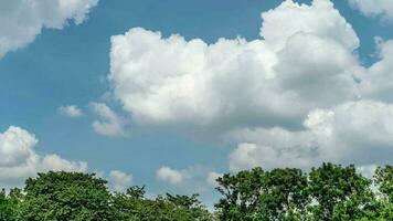 azul céu e branco nuvem movimento com árvore, lapso de tempo video