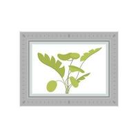 Painting with a non-flowering plant. Isolated. Flat style. vector