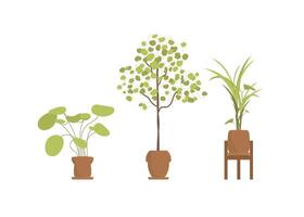 A set of non-blooming flowers in pots for the home. Isolated. Flat style. vector