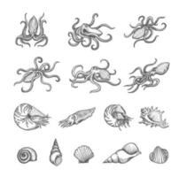 Octopus, cuttlefish, seashell, shellfish sketches vector