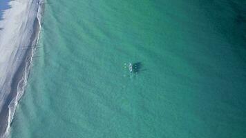 An aerial shot of a surf life saving boat rowing down the coast. People can be seen on their morning beach walks watching on. video