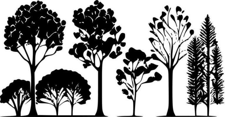 Trees, Black and White Vector illustration