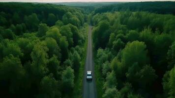 in de lucht zien groen Timberland met auto Aan de zwart-top straat. video