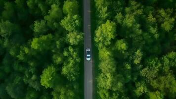 Airborne see green timberland with car on the black-top street. video