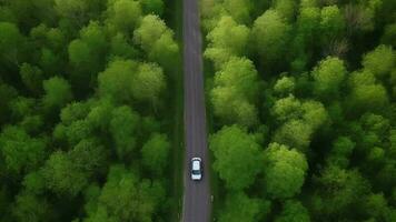 in der Luft sehen Grün Waldland mit Auto auf das Schwarzes Oberteil Straße. video