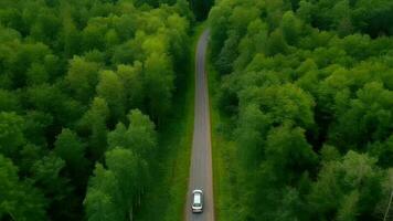 luftburet ser grön timberland med bil på de svart-topp gata. video