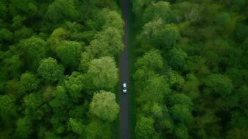 in der Luft sehen Grün Waldland mit Auto auf das Schwarzes Oberteil Straße. video