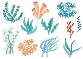 Seaweeds. Aquarium, ocean and undersea algae. Wracks, laminaria, kelp marine tropical water life. Cartoon vector illustration isolated on white background.