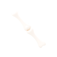 3d ilustração do articulação osso elemento. png