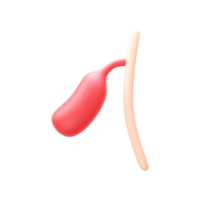 3D Render Of Gallbladder Polyps Element In Red Color. png