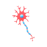 3d illustratie van neuronen element in blauw en rood kleur. png