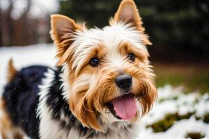 retrato de un linda Yorkshire terrier perro en el parque. generativo ai foto