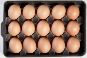 Eggs in a tray on a white background, top view. photo