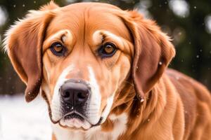 retrato de un linda mezclado raza perro acostado en el césped en el parque. generativo ai foto