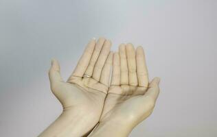 two empty female beautiful hands open with palms up closeup of top view isolated on white background photo