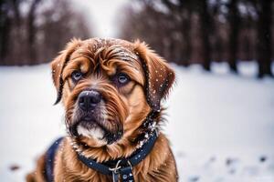 retrato de un hermosa perro en pie en el parque. generativo ai foto