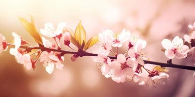 Cherry blossoms with bokeh background. AI generative photo