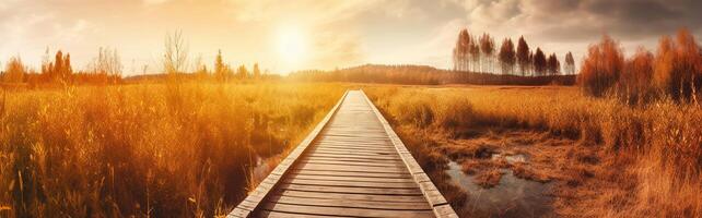 Panoramic autumn landscape with wooden path. Fall nature background. photo