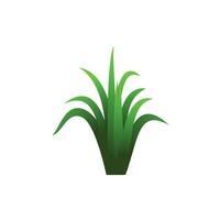 Grass. Grass icon. Grass icon vector design illustration. Grass icon simple sign. Grass icon image. Grass symbol