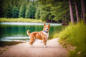 retrato de un linda mezclado raza perro acostado en el césped en el parque. generativo ai foto