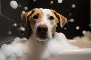 Washing pet. Cute dog in bath with shampoo foam. photo