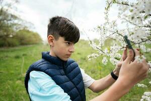 adolescente chico toma un foto de un floración árbol en su teléfono.
