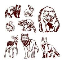 Vector set of forest wild animals. Graphic illustration. Bear, badger, wolf, raccoon, fox, squirrel, deer, rabbit.