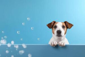 Lavado mascota. linda perro en bañera en azul antecedentes. generativo ai foto