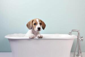 Lavado mascota. linda perro en bañera con champú espuma. generativo ai foto