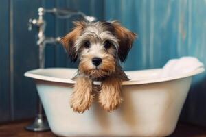 Washing pet. Cute dog in bath with shampoo foam. photo