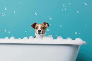 Lavado mascota. linda perro en bañera en azul antecedentes. generativo ai foto