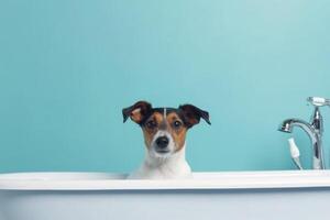 Lavado mascota. linda perro en bañera en azul antecedentes. generativo ai foto