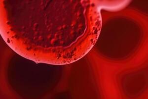 Macro shot of red blood cells in artery. photo