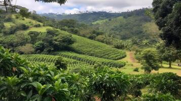 café plantación. paisaje con café arboles generativo ai foto