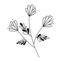 hand drawn sketch flowers illustration, decorative floral element vector