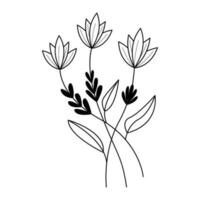 hand drawn botanical flowers in outline style,  decorative floral element vector