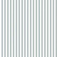 Pinstripe seamless pattern, white, gray, can be used in the design of fashion clothes. Bedding, curtains, tablecloths photo