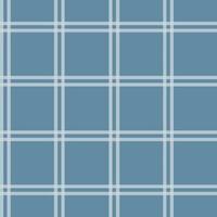 Window pane plaid seamless pattern, white and blue can be used in the design. Bedding, curtains, tablecloths photo