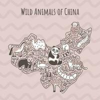 Animals of China on map. Doodle style illustration. Outline sketch. vector