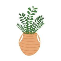 Vector house plant flat style illustration. Money tree plant in pot isolated