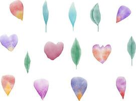 watercolor petals and leaf vector