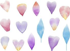 watercolor leaf and petal illustration vector set