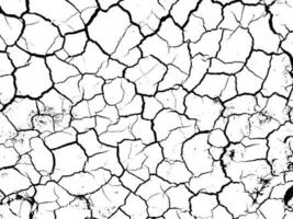 Grunge white and black texture, vector