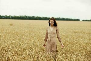 female hand Wheat field autumn season concept photo