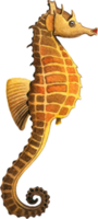 sotto il mare animali acquerello png