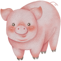 Pig cute animal watercolor character png