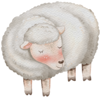 Sheep cute animal watercolor character png